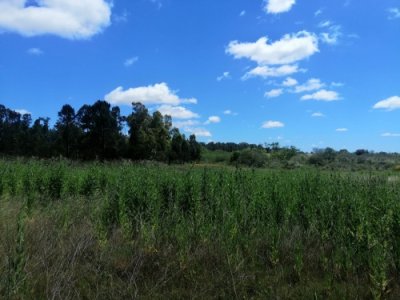 Venta Chacra, Pando, Villa Jardines, de 3.1250 has.