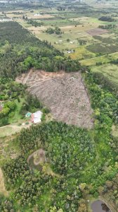 Venta chacra 100% financiada en Toledo 4 hectáreas