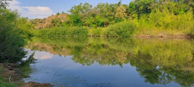 Venta de Campo, Paso del Sordo, Florida, excelente campo de 37.5 has 