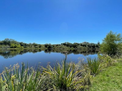 Campo de 91 has. en Pando, con costa sobre el arroyo Pando