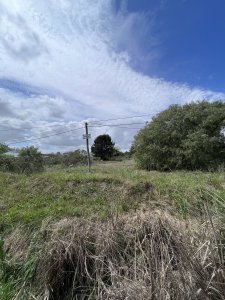 Terreno Pinar norte en venta!!