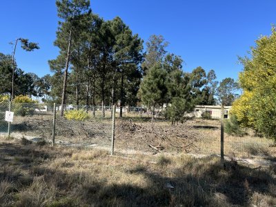  Terreno de 5608 m2 Pinar Sur , en venta .