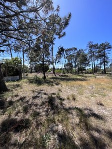 Terreno en venta El Pinar Sur . Esquina
