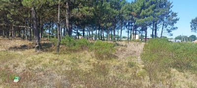 Venta de terrenos en Solymar a 500 mts de Giannattasio, , altos y parejos