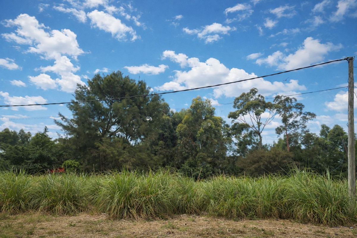 Terreno en Santa Ana