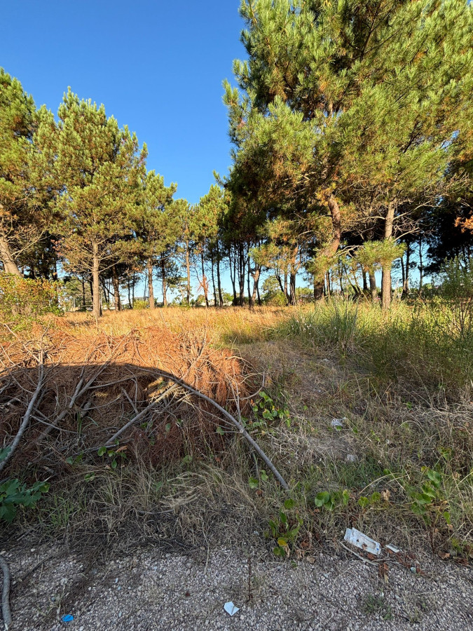 Terreno financiado Montes de Solymar 400m2
