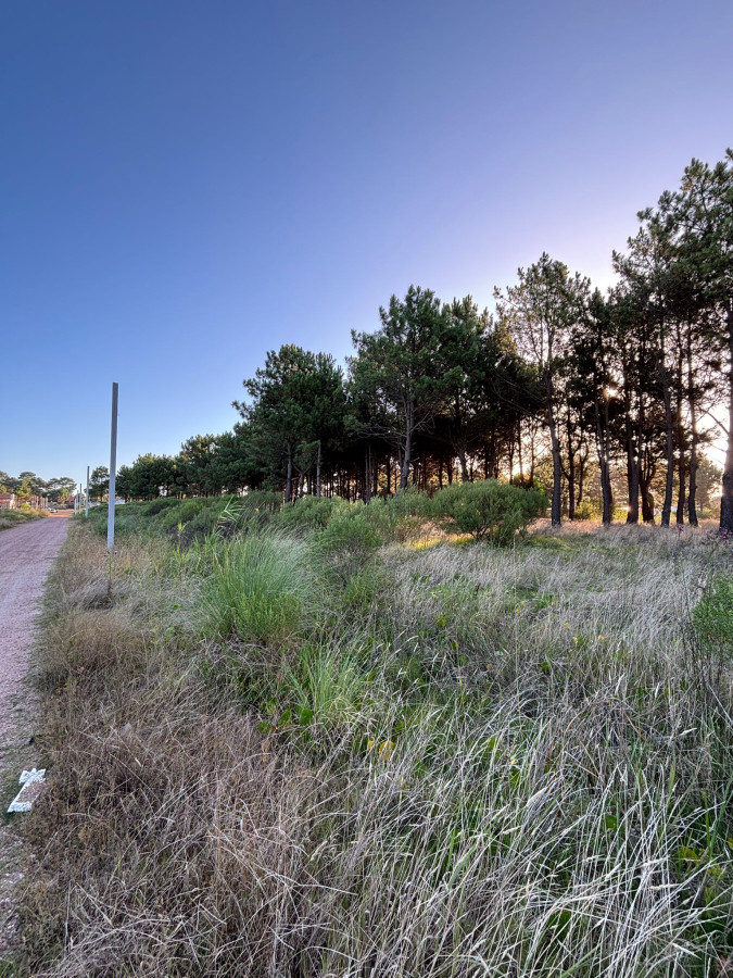 Terreno financiado Últimos en Montes de Solymar 400m2