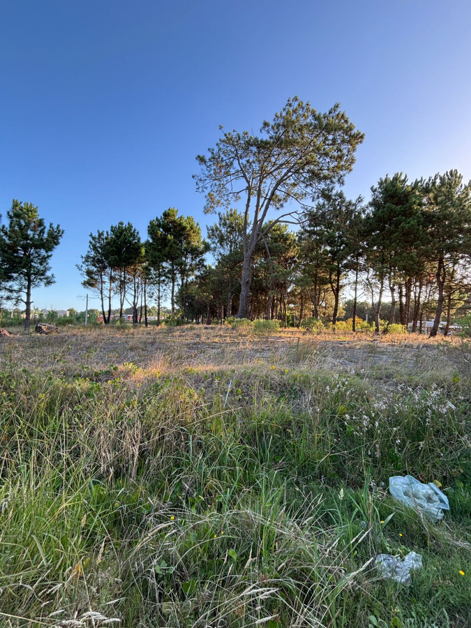 Terrenos en venta financiados Montes de Solymar
