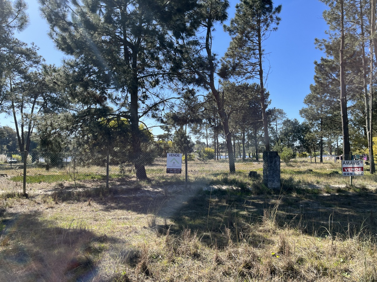  Terreno de 5608 m2 Pinar Sur , en venta .