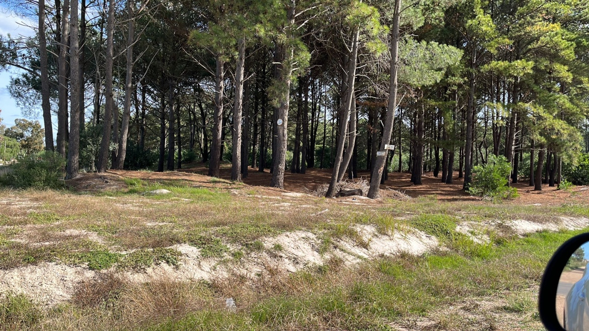 Terrenos financiados a pura cuota próx Giannattasio - Suc Solymar 