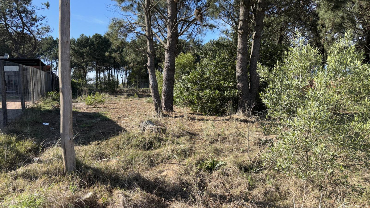 Terreno , Proximos a Giannattasio 
