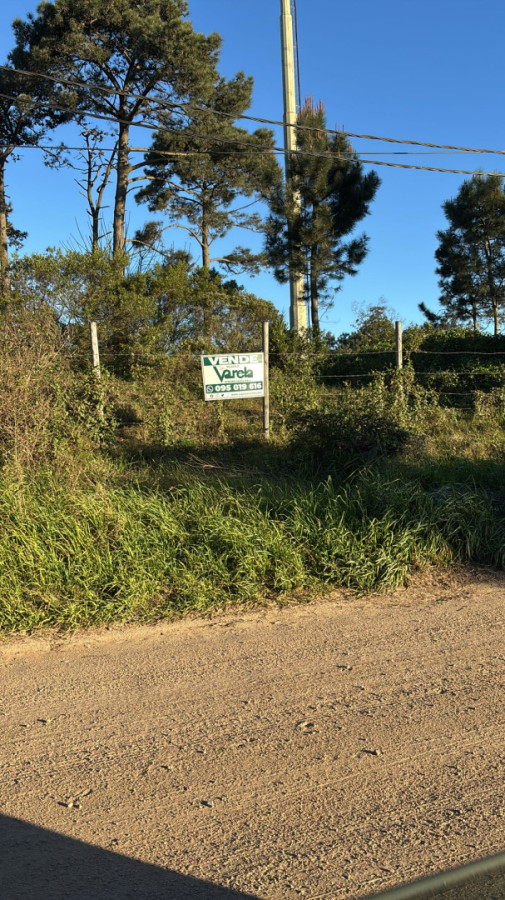 Venta terreno 695 m2 en Lomas de Solymar, sobre Giannattasio 