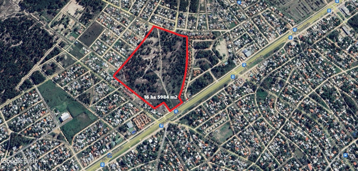 Terreno en Venta Lomas 16 ha , 49 m sobre giannattasiio!!