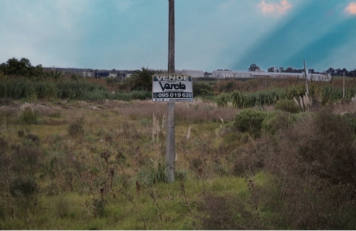 Terreno en Pando - ideal viviendas, barrio privado, club deportivo o para parcelar