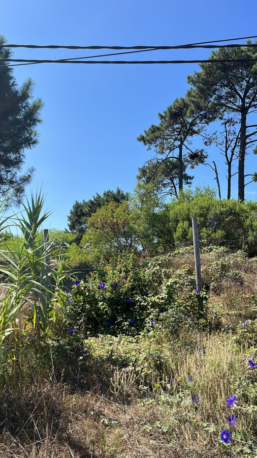 Venta terreno 695 mts. sobre Giannattasio 