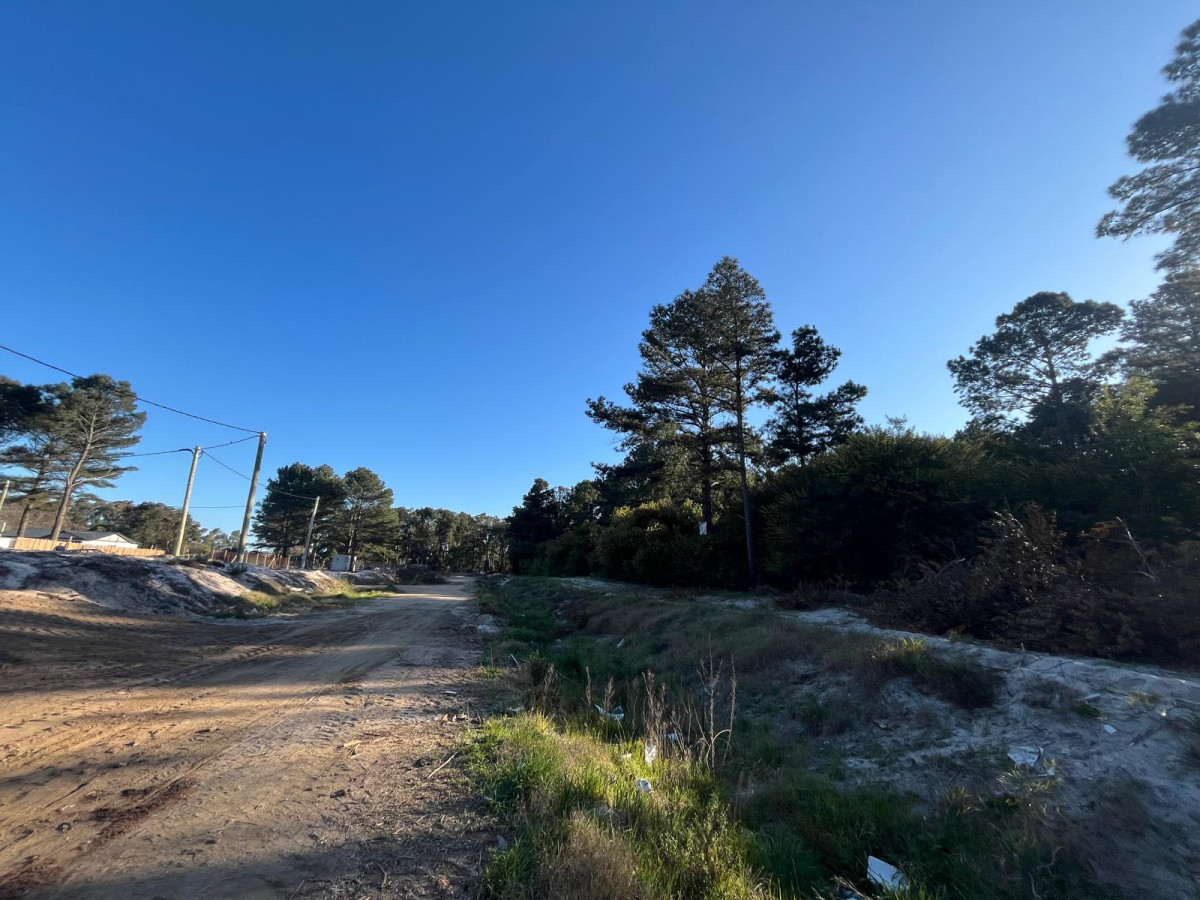 Venta terreno Montes de Solymar, U$S 20.000 de entrega más cuotas de 14 U.R. 