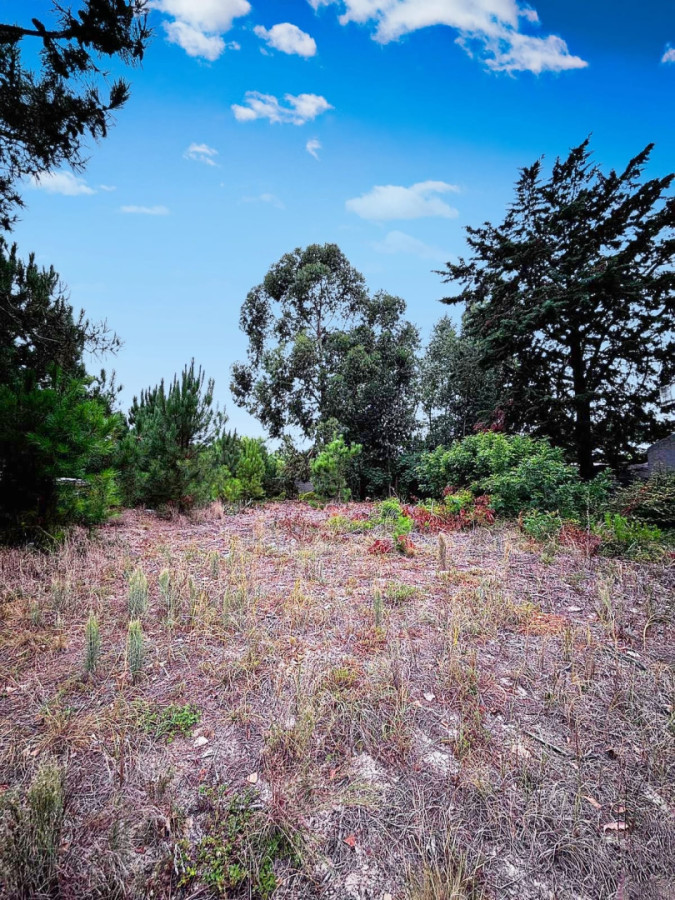 Terreno en venta Pinar sur 892 m2