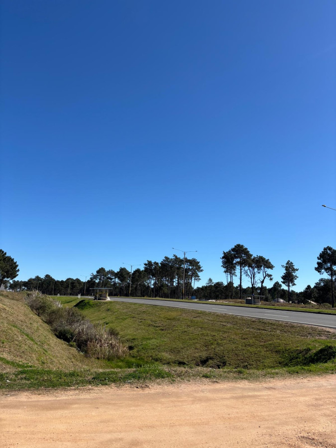 Venta Terrenos El Pinar al sur de Interbalnearia 