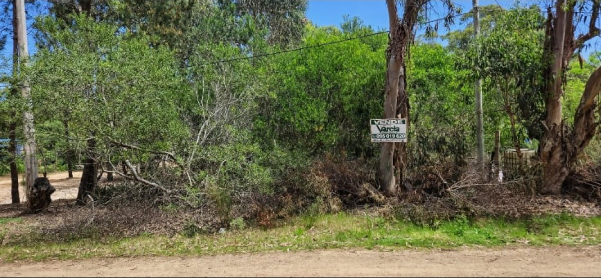 Terreno en venta, 540 m2, a mts de la playa, Balneario Argentino