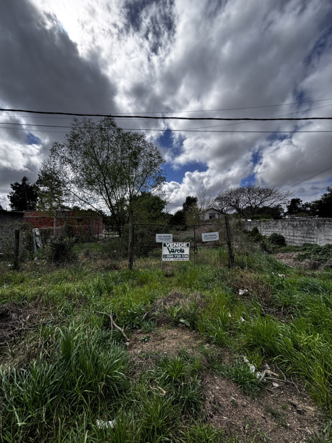 Terreno en Venta norte de El Pinar 