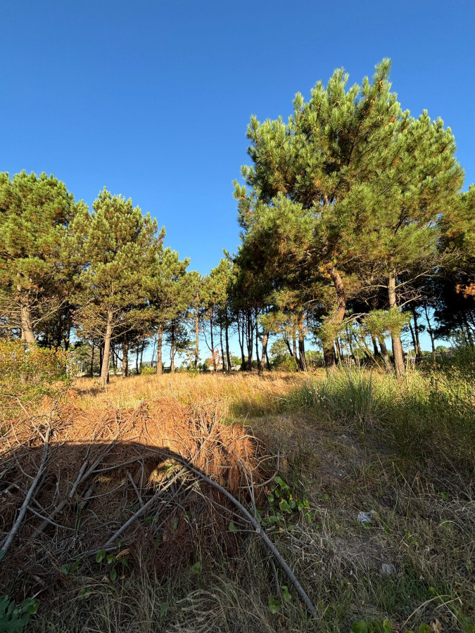 Terrenos en venta financiados Nilo Park