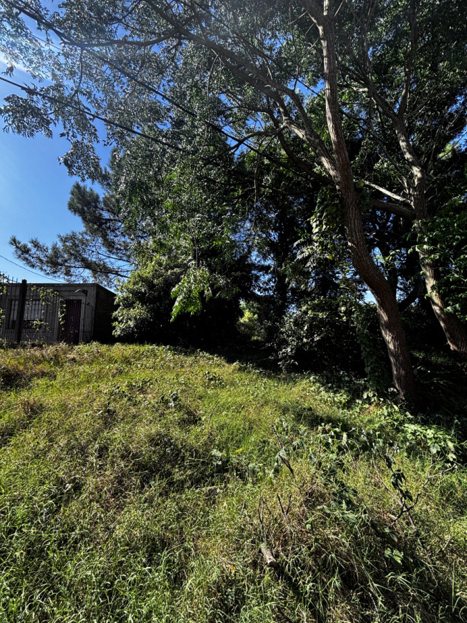 Terreno en venta  El Pinar Sur. 