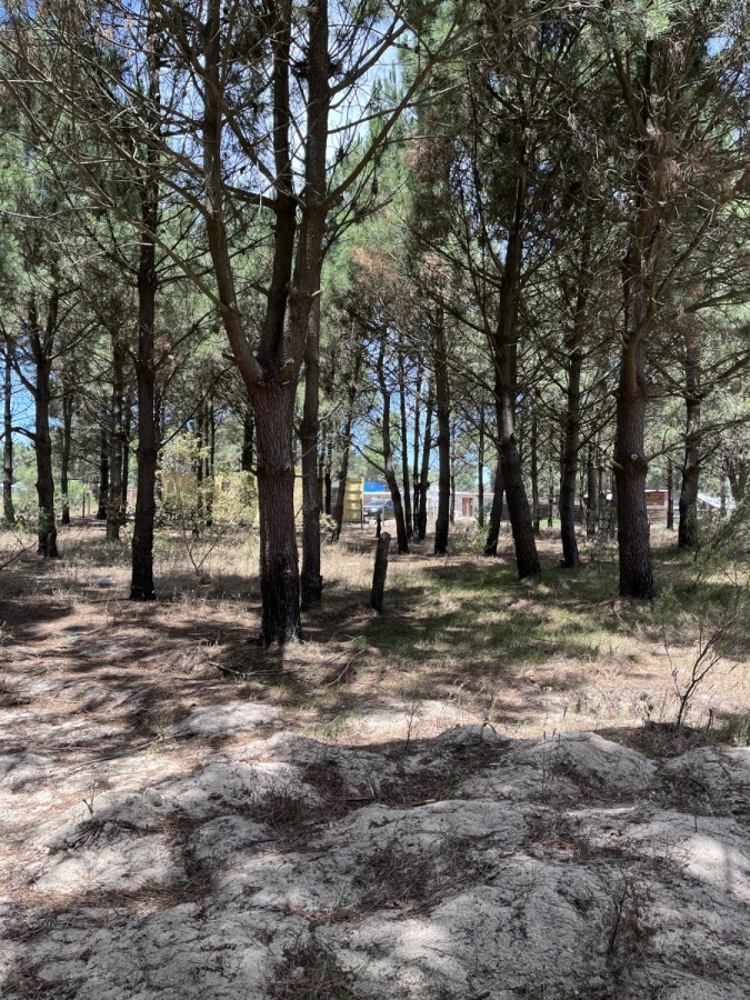 Terreno en Venta Lomas 16 ha , 49 m sobre giannattasiio!!