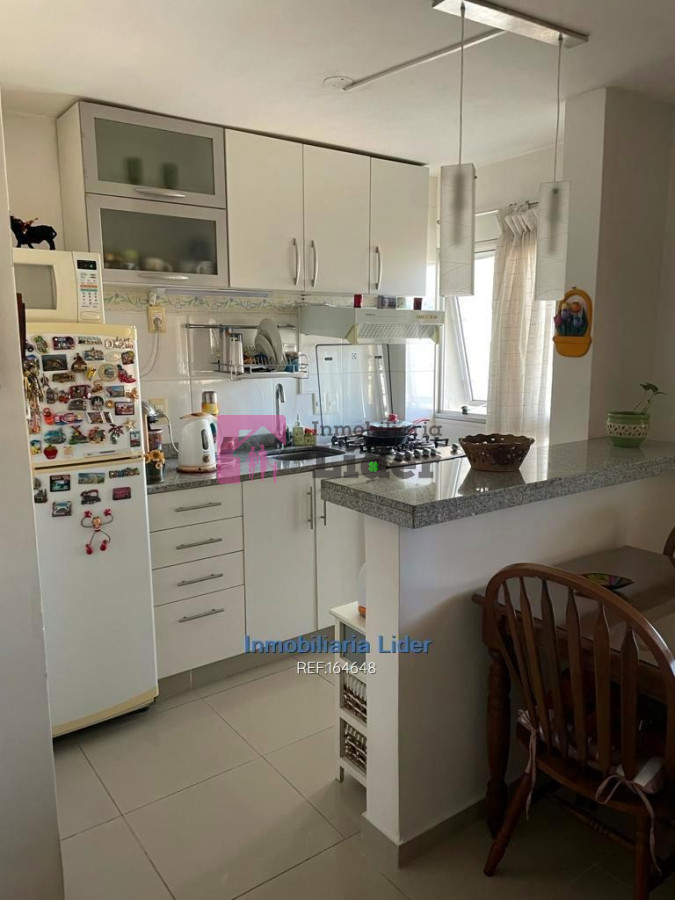 Parque Batlle - GoPunta - Portal Inmobiliario de Punta del Este - Maldonado