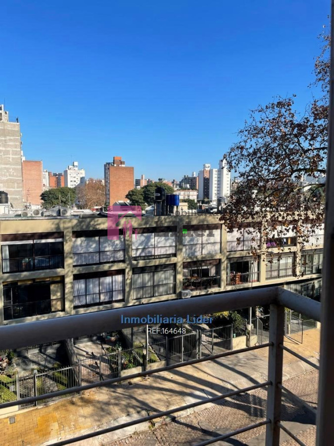 Parque Batlle - GoPunta - Portal Inmobiliario de Punta del Este - Maldonado
