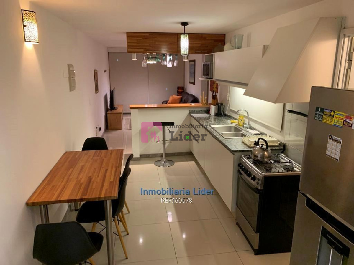 Buceo - GoPunta - Portal Inmobiliario de Punta del Este - Maldonado