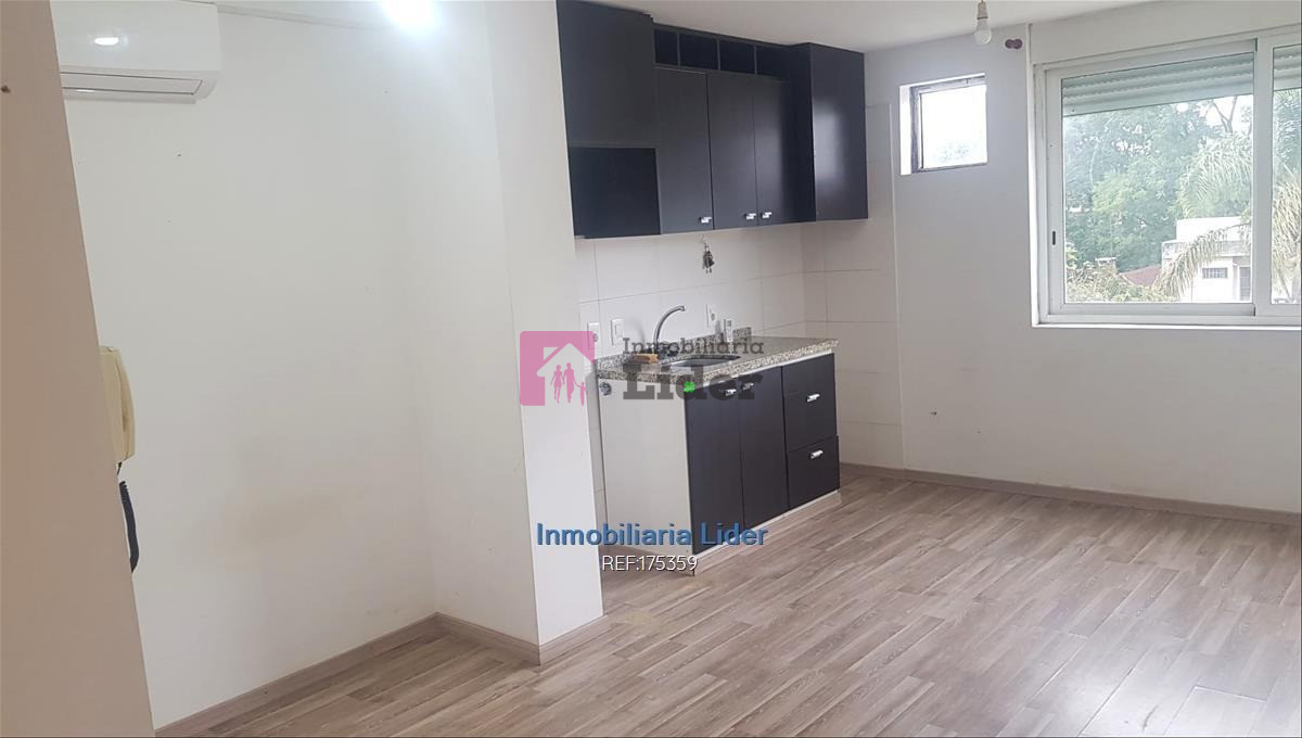 Buceo - GoPunta - Portal Inmobiliario de Punta del Este - Maldonado
