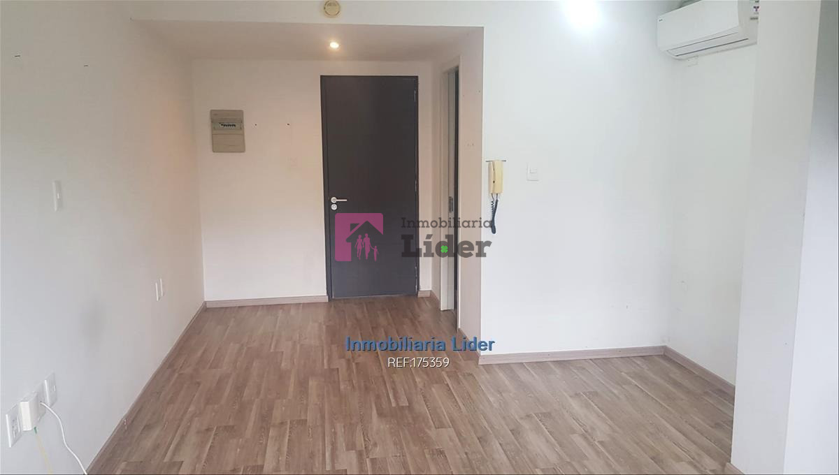 Buceo - GoPunta - Portal Inmobiliario de Punta del Este - Maldonado