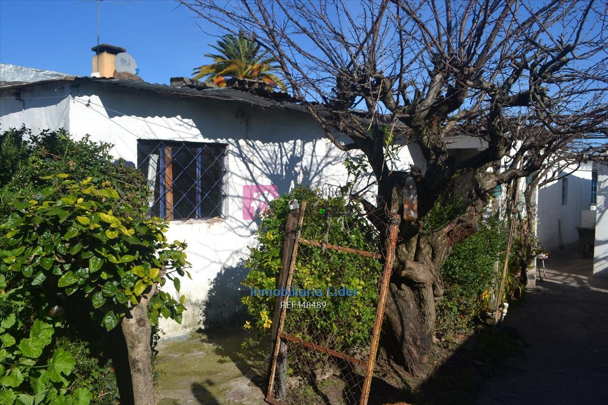 Sayago - GoPunta - Portal Inmobiliario de Punta del Este - Maldonado