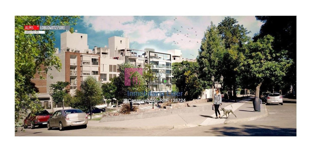 Buceo - GoPunta - Portal Inmobiliario de Punta del Este - Maldonado