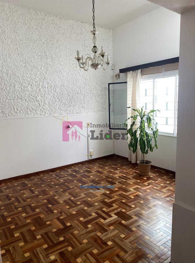 Buceo - GoPunta - Portal Inmobiliario de Punta del Este - Maldonado