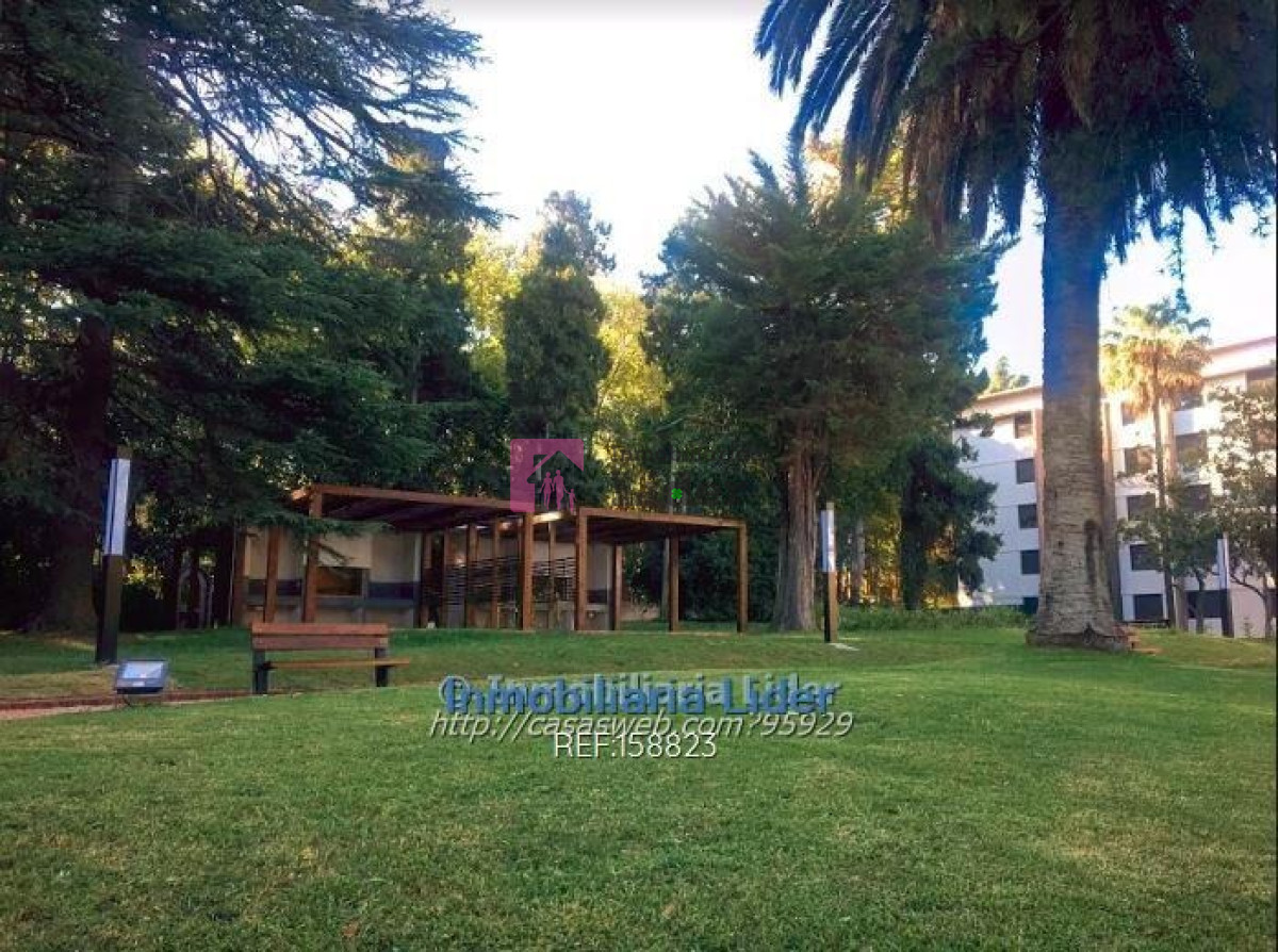 Prado - GoPunta - Portal Inmobiliario de Punta del Este - Maldonado