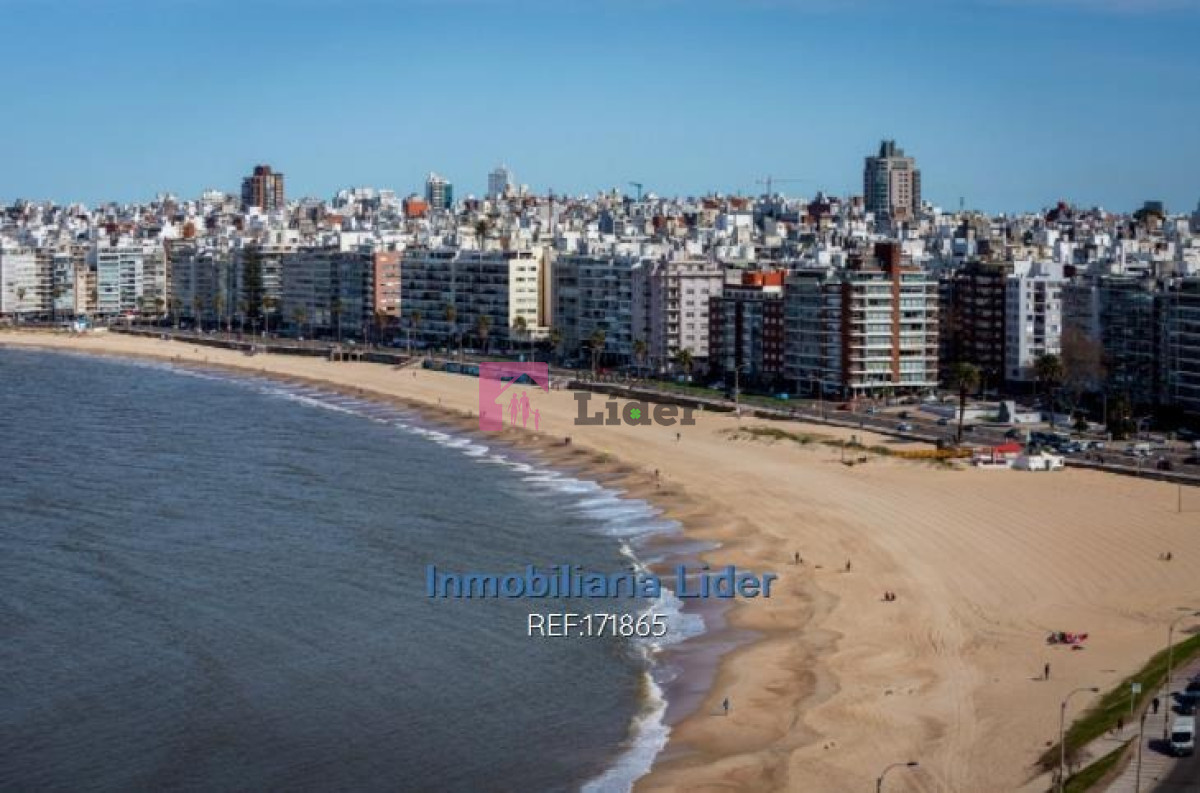 Pocitos - GoPunta - Portal Inmobiliario de Punta del Este - Maldonado