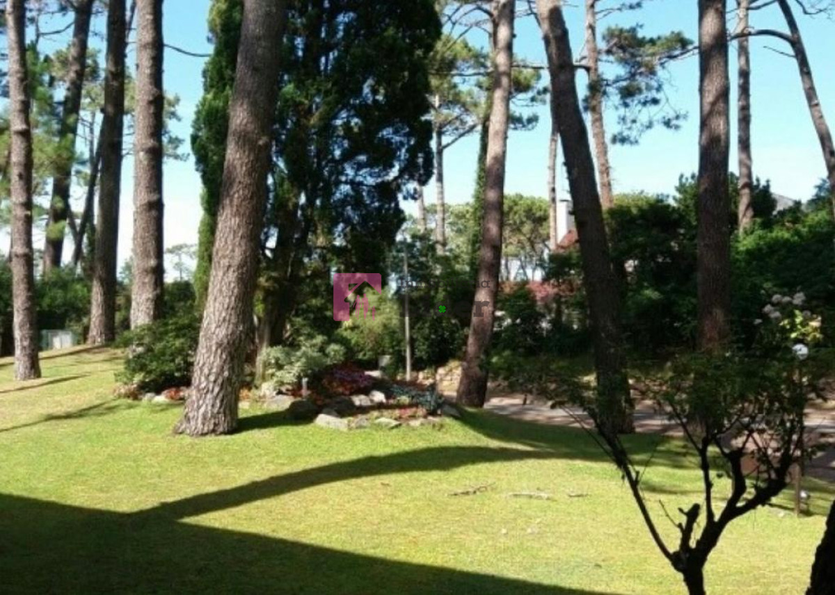 Maldonado - GoPunta - Portal Inmobiliario de Punta del Este - Maldonado