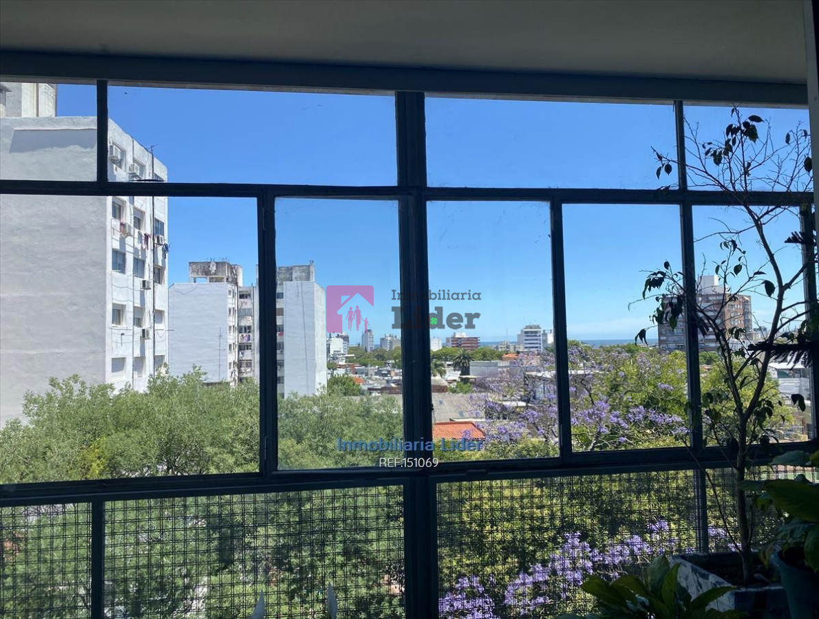 Pocitos - GoPunta - Portal Inmobiliario de Punta del Este - Maldonado