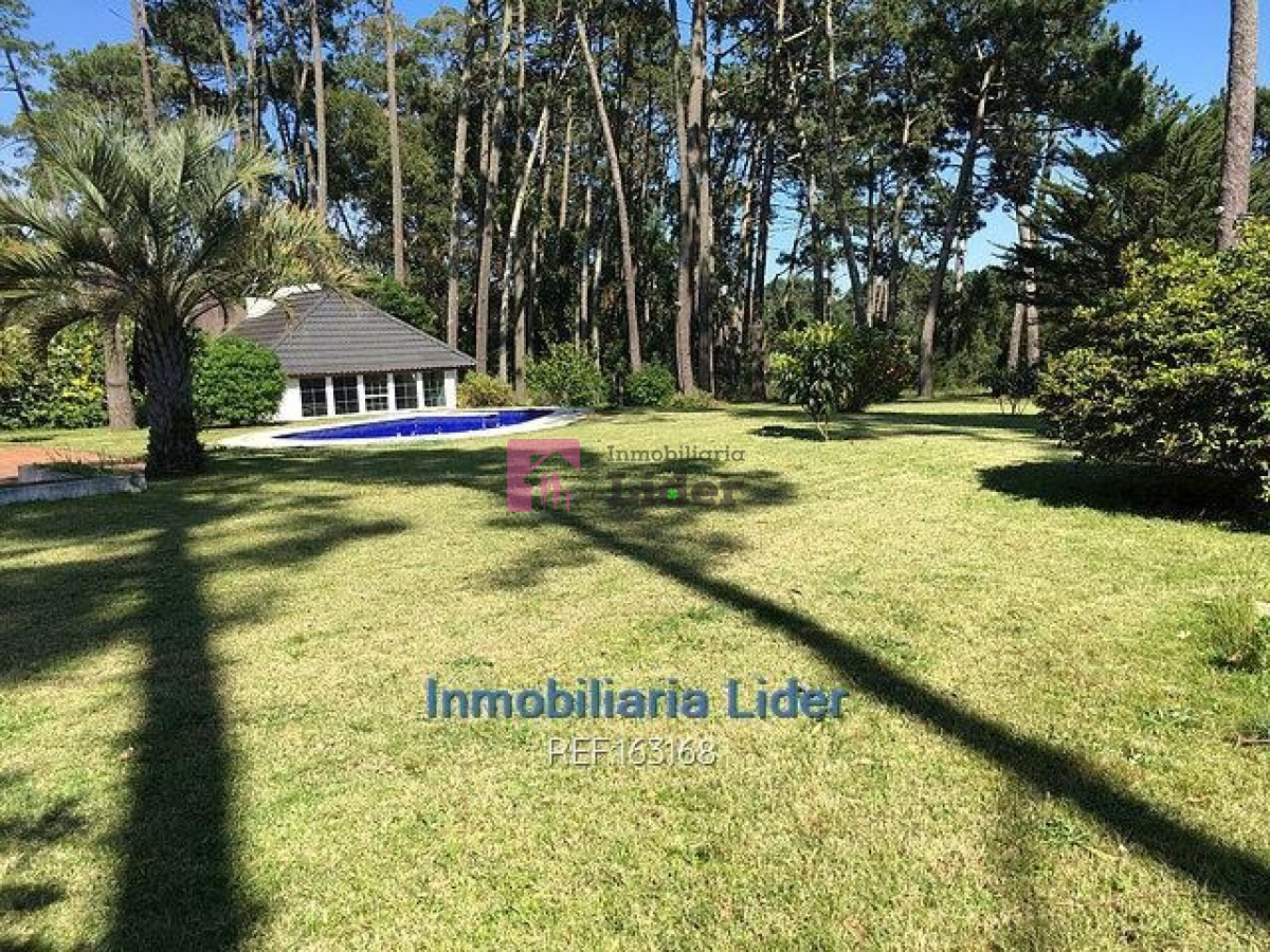 Centro Maldonado - GoPunta - Portal Inmobiliario de Punta del Este - Maldonado