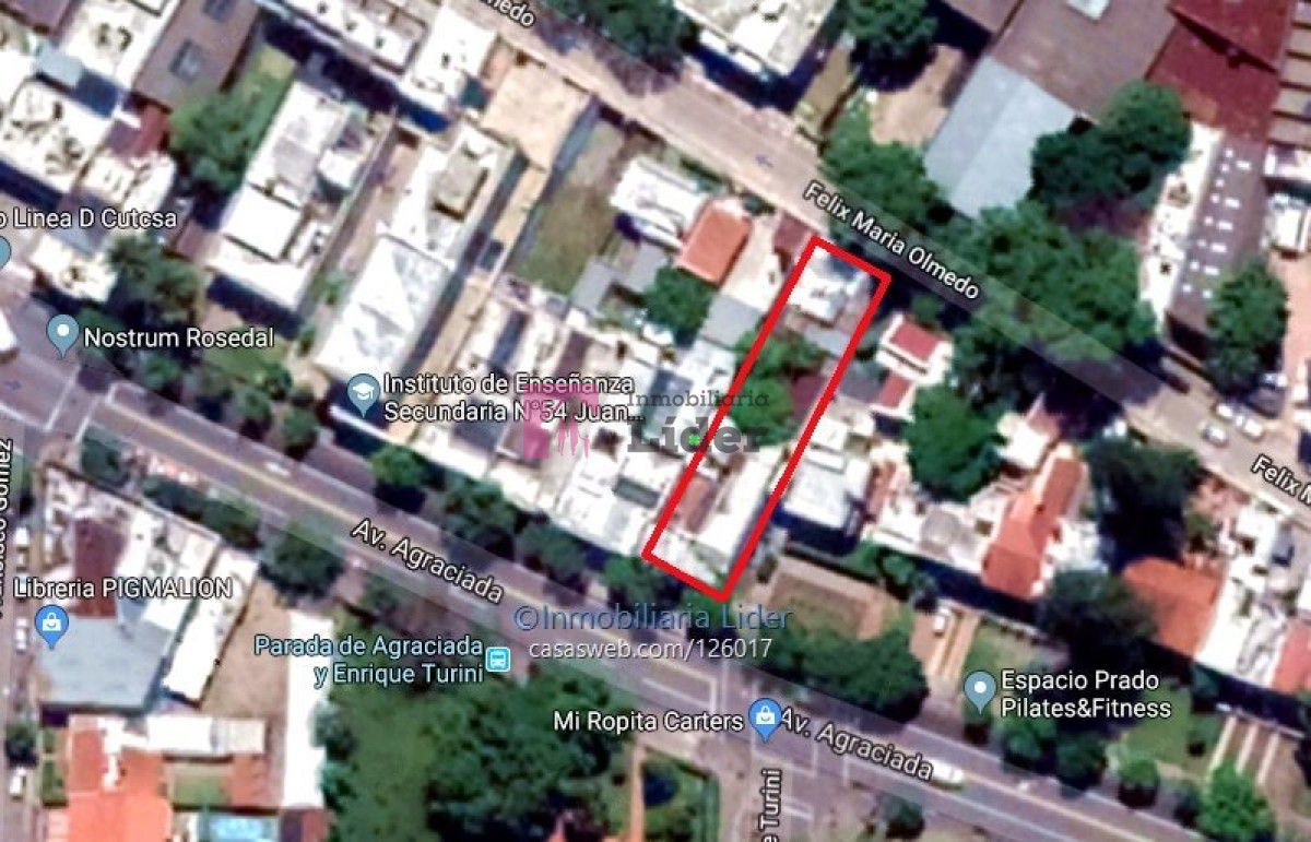 Prado - GoPunta - Portal Inmobiliario de Punta del Este - Maldonado