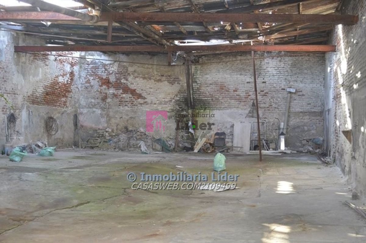 Paso Molino - GoPunta - Portal Inmobiliario de Punta del Este - Maldonado