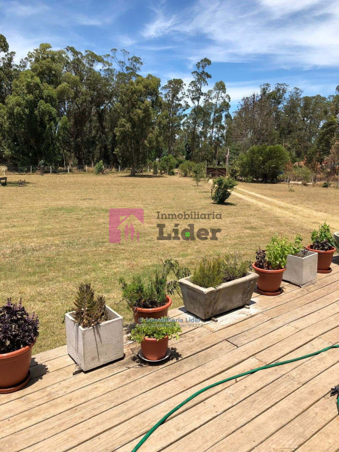Balneario Buenos Aires - GoPunta - Portal Inmobiliario de Punta del Este - Maldonado