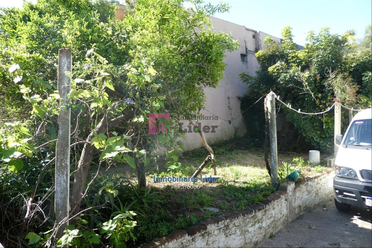 La Teja - GoPunta - Portal Inmobiliario de Punta del Este - Maldonado