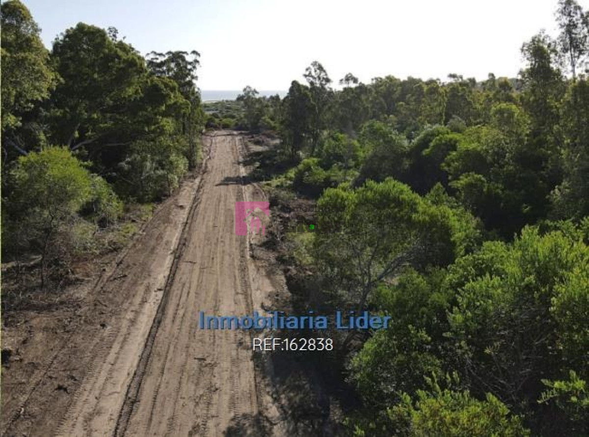 Playa Verde - GoPunta - Portal Inmobiliario de Punta del Este - Maldonado