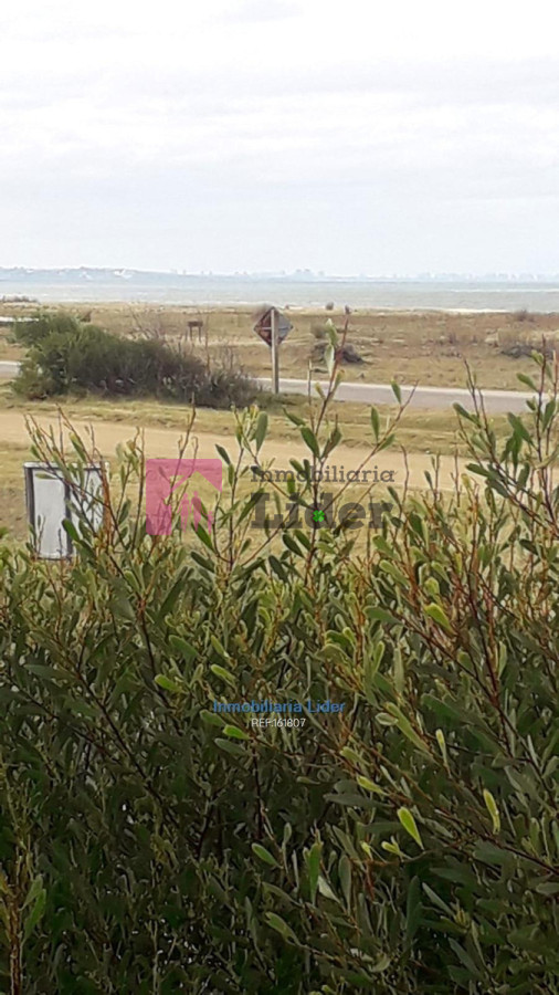 Punta Negra - GoPunta - Portal Inmobiliario de Punta del Este - Maldonado