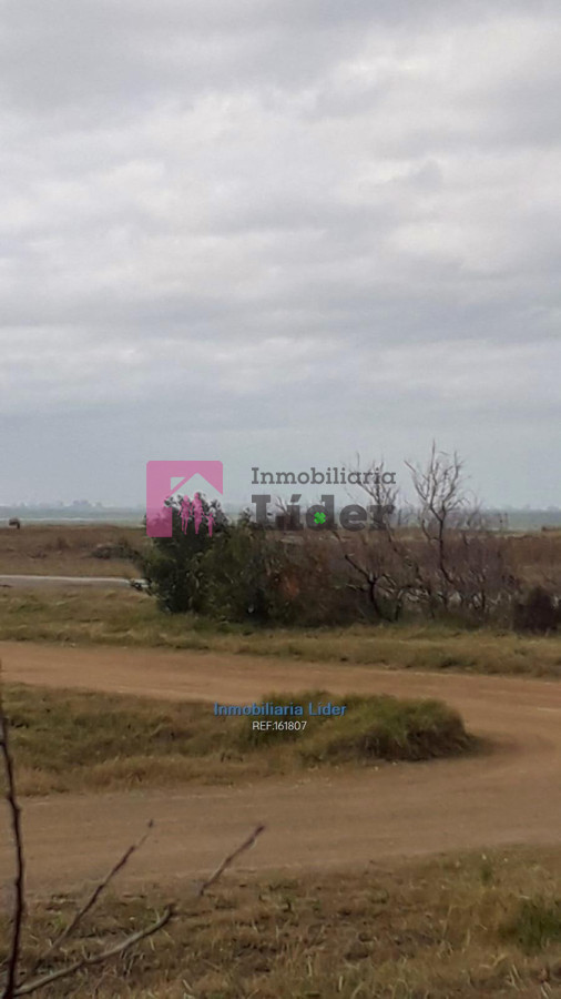Punta Negra - GoPunta - Portal Inmobiliario de Punta del Este - Maldonado