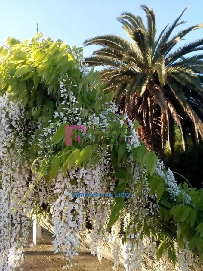Las Piedras - GoPunta - Portal Inmobiliario de Punta del Este - Maldonado