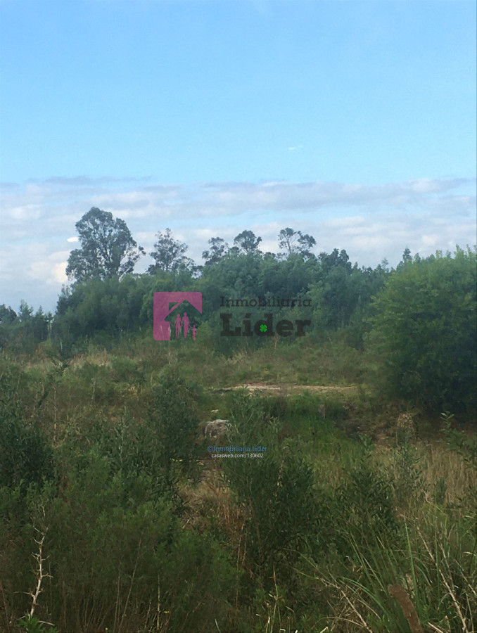La Tahona - GoPunta - Portal Inmobiliario de Punta del Este - Maldonado