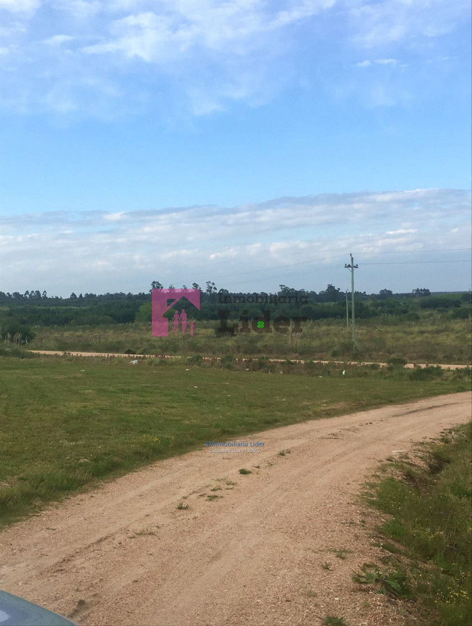 La Tahona - GoPunta - Portal Inmobiliario de Punta del Este - Maldonado